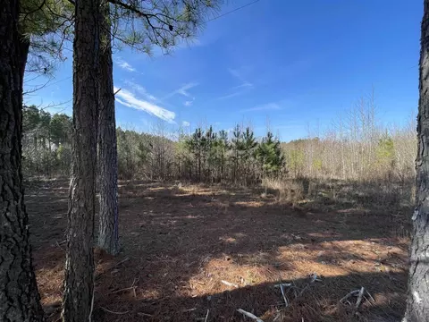 0 Lettuce Hall Rd, Spring Hope, NC 27882 photo 2