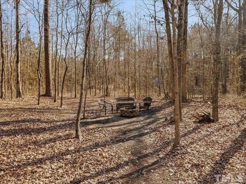 307 Gallop Ct, Stem, NC 27581 photo 34