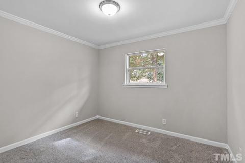 1101 Springdale Dr, Durham, NC 27707 photo 18