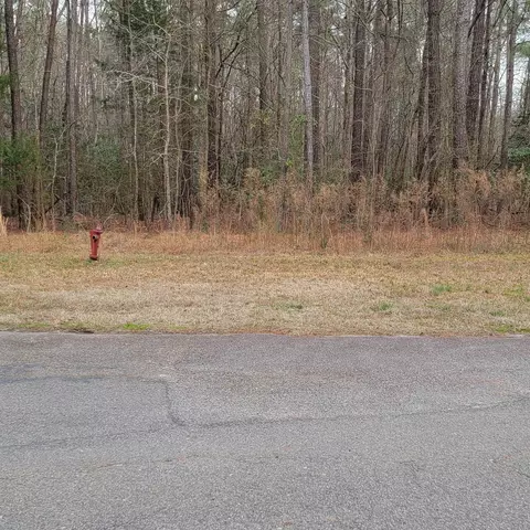 152-154 Nashua Dr, Louisburg, NC 27549
