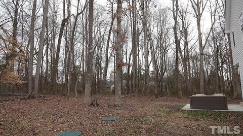 5000 W Pool Rd, Rougemont, NC 27572 photo 28