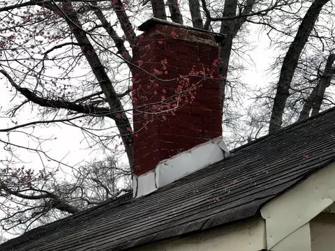 1259 Pointer St, Roxboro, NC 27573 photo 36