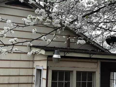 1259 Pointer St, Roxboro, NC 27573 photo 34