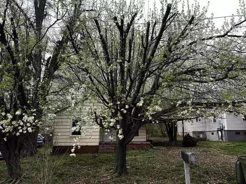 1259 Pointer St, Roxboro, NC 27573 photo 40