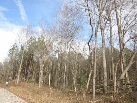 Tract 1 Nc 231 Highway, Spring Hope, NC 27882
