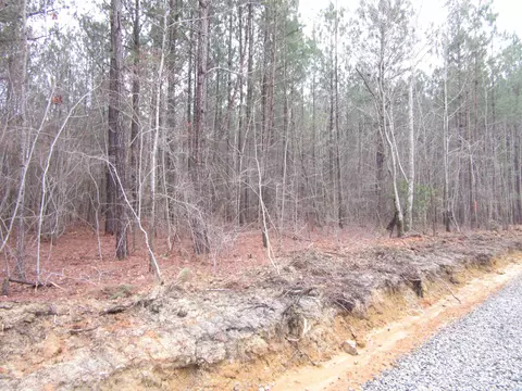 5 North Carolina 231, Spring Hope, NC 27882