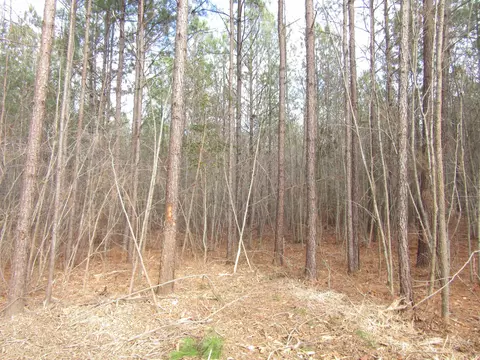 6 North Carolina 231, Spring Hope, NC 27882