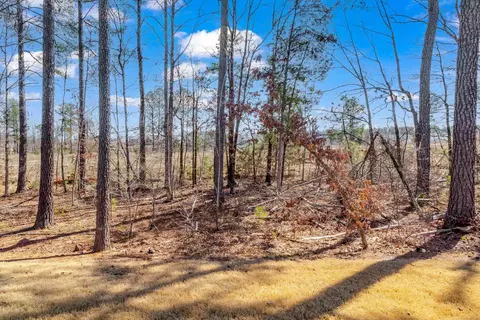 1118 Morrison Dr, Durham, NC 27703 photo 13