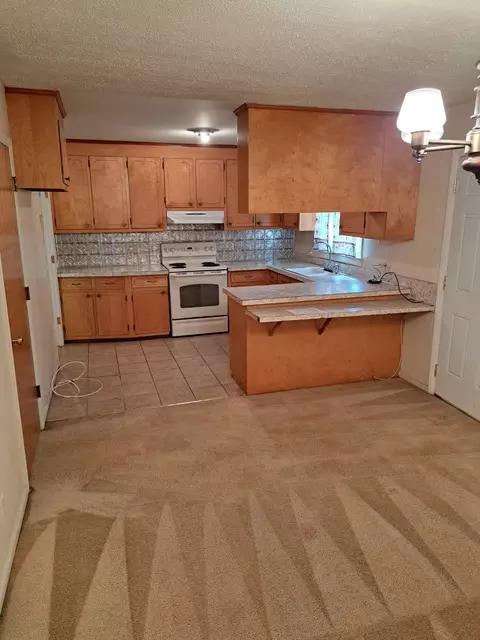 1028 Plum St, Durham, NC 27701 photo 13