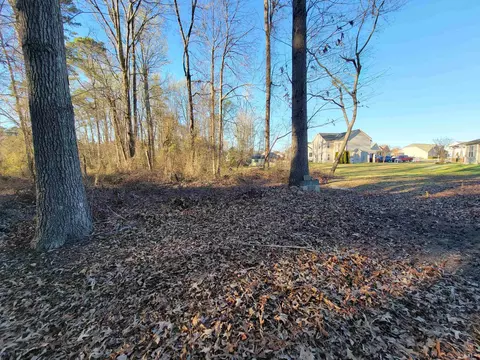 58 Pompano Ln, Benson, NC 27504 photo 35
