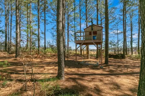 1051 Grace Rd, Benson, NC 27504 photo 43