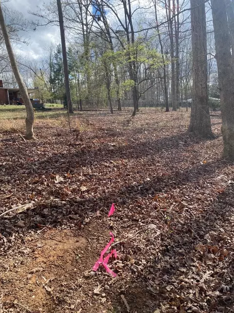 519 Goodwin Rd, Durham, NC 27712 photo 12