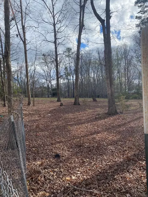 519 Goodwin Rd, Durham, NC 27712 photo 13