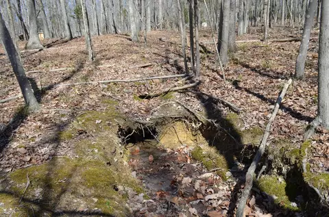 004 Fire Tower Dr, Rougemont, NC 27572 photo 3