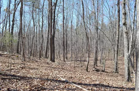004 Fire Tower Dr, Rougemont, NC 27572 photo 4
