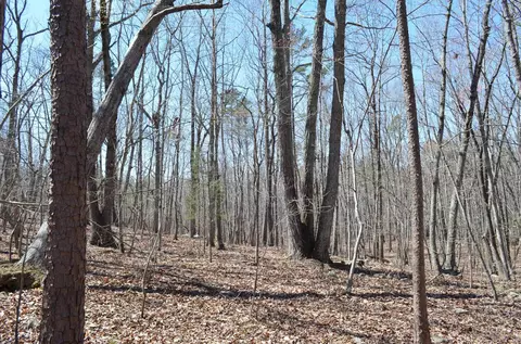 004 Fire Tower Dr, Rougemont, NC 27572 photo 5