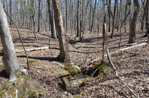 004 Fire Tower Dr, Rougemont, NC 27572 photo 2