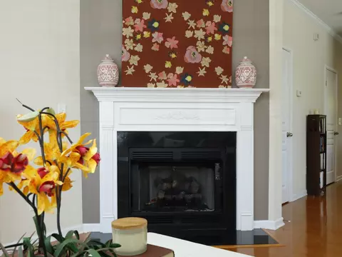 223 Cedar Elm Rd, Durham, NC 27713 photo 8