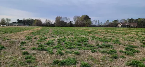 0 Allens Crossroads Rd, Four Oaks, NC 27524
