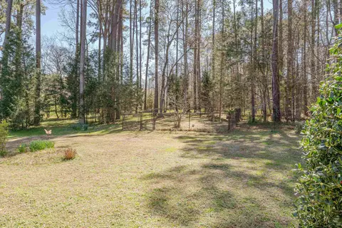 683 E River Rd, Moncure, NC 27559 photo 47