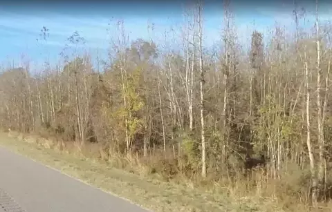 0 Us 74 Hwy, Rowland, NC 28383
