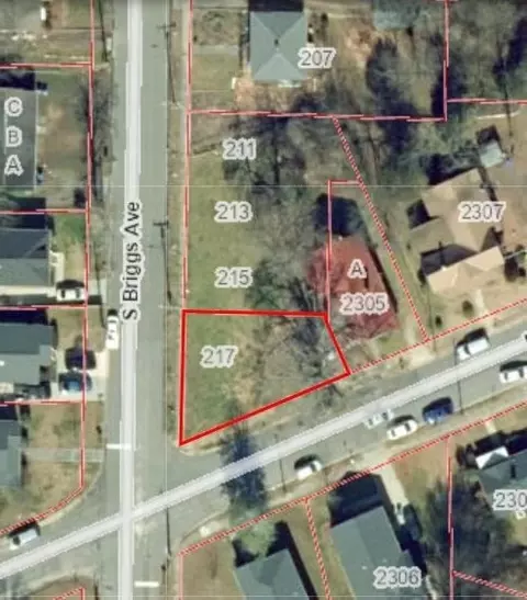 217 S Briggs Ave, Durham, NC 27703 photo 35