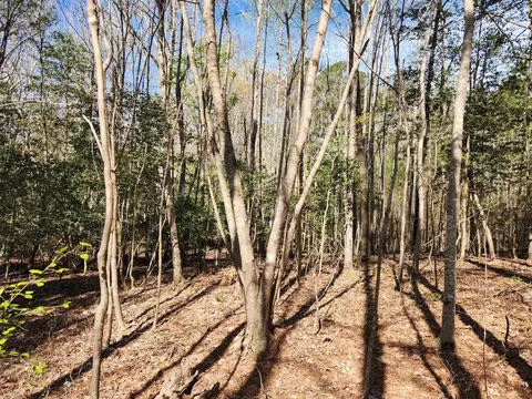 109 Oswego Dr, Louisburg, NC 27549