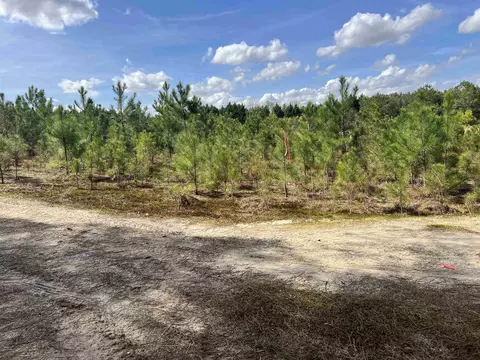 Massengill Pond Road, Angier, NC 27501