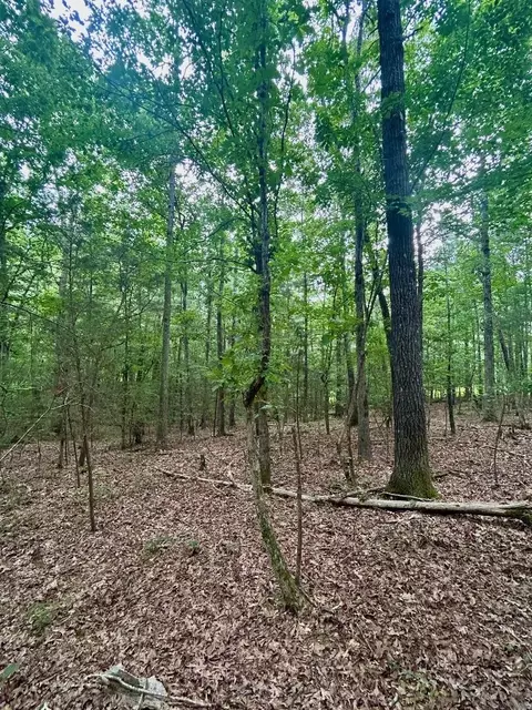 lot2 Twin Elms, Chapel Hill, NC 27516