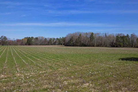 0 Cherry Tree Rd, Gaston, NC 27832 photo 23