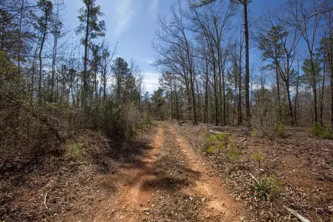 0 Cherry Tree Rd, Gaston, NC 27832 photo 38