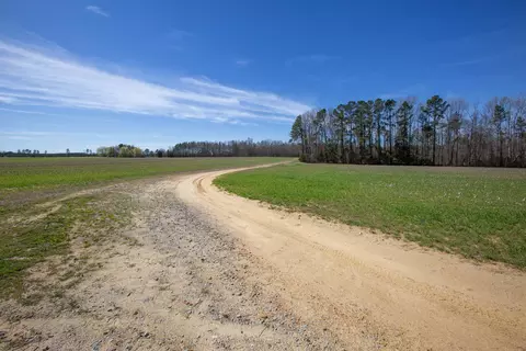 0 Cherry Tree Rd, Gaston, NC 27832 photo 36