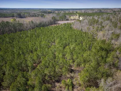 0 Cherry Tree Rd, Gaston, NC 27832 photo 9