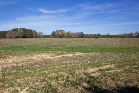 0 Cherry Tree Rd, Gaston, NC 27832 photo 22