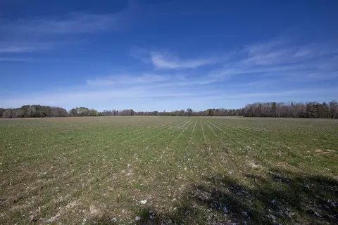 0 Cherry Tree Rd, Gaston, NC 27832 photo 25