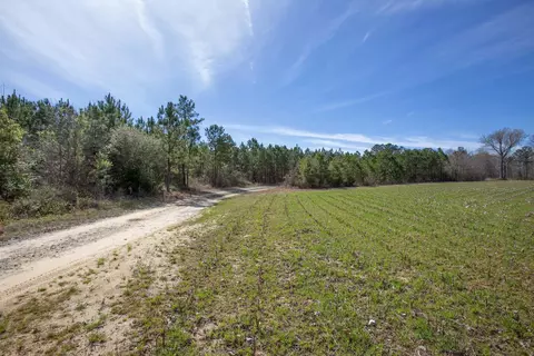 0 Cherry Tree Rd, Gaston, NC 27832 photo 45