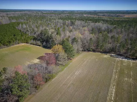 0 Cherry Tree Rd, Gaston, NC 27832 photo 6