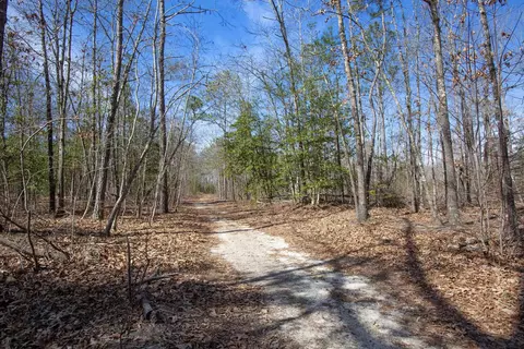 0 Cherry Tree Rd, Gaston, NC 27832 photo 31