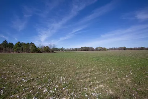 0 Cherry Tree Rd, Gaston, NC 27832 photo 24