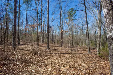 0 Cherry Tree Rd, Gaston, NC 27832 photo 41