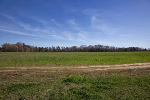 0 Cherry Tree Rd, Gaston, NC 27832 photo 19