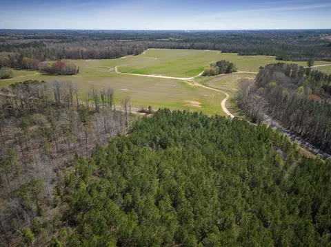 0 Cherry Tree Rd, Gaston, NC 27832 photo 10