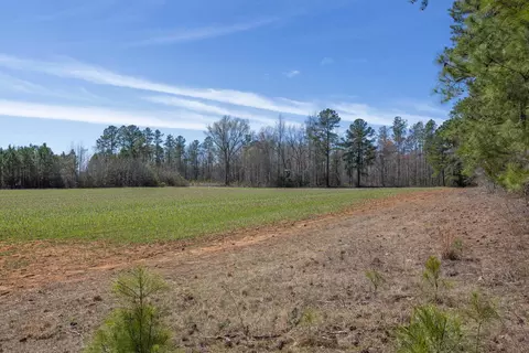 0 Cherry Tree Rd, Gaston, NC 27832 photo 46