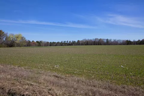0 Cherry Tree Rd, Gaston, NC 27832 photo 21