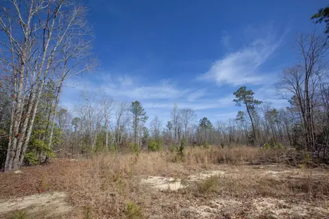 0 Cherry Tree Rd, Gaston, NC 27832 photo 30