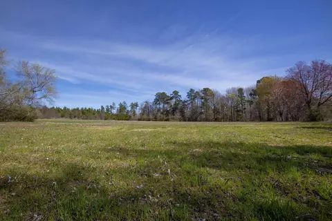 0 Cherry Tree Rd, Gaston, NC 27832 photo 35