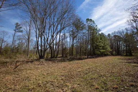 0 Cherry Tree Rd, Gaston, NC 27832 photo 32