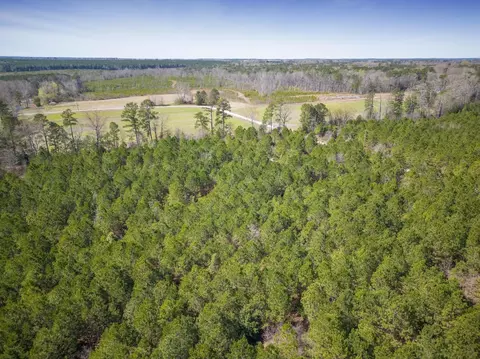 0 Cherry Tree Rd, Gaston, NC 27832 photo 16