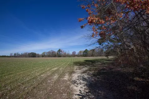 0 Cherry Tree Rd, Gaston, NC 27832 photo 33