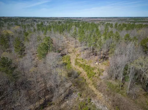 0 Cherry Tree Rd, Gaston, NC 27832 photo 8
